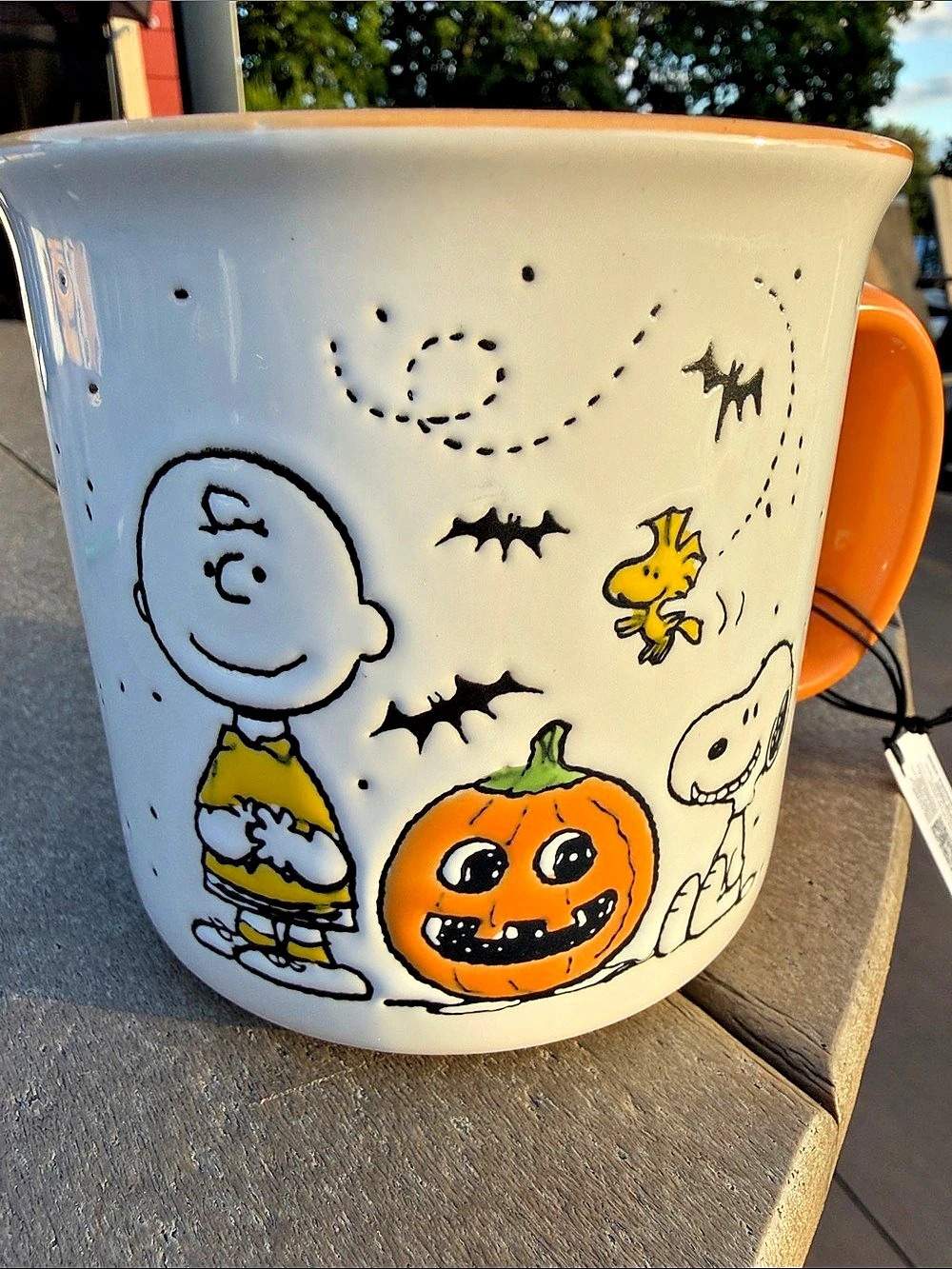 Peanuts Snoopy Halloween Trick Or Treat Mug Orange & White